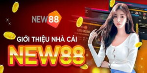 Giới thiệu thông tin về New88